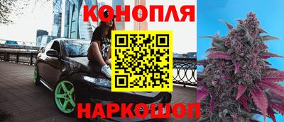 гашик Бузулук