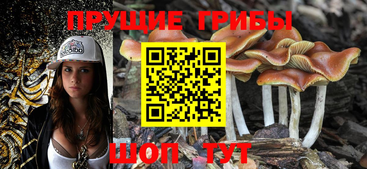 Рязань  цены   Галлюциногенные грибы Psilocybine cubensis  Вход с VPN  Псилоцибиновые грибы мухоморы 